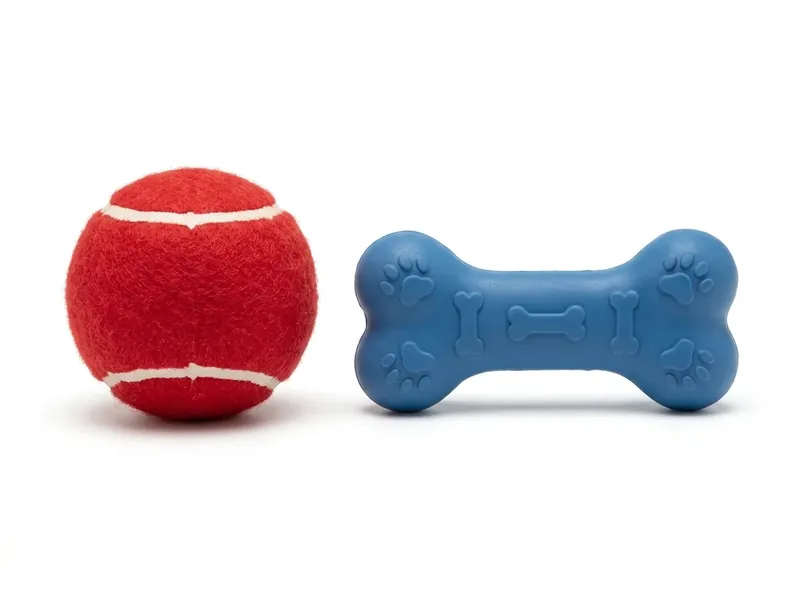 Pelota y hueso de goma
